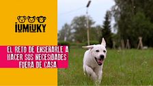 Programa 253
