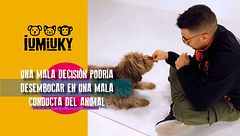 Programa 256