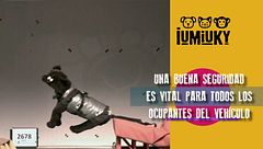 Programa 258