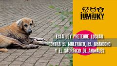Programa 259