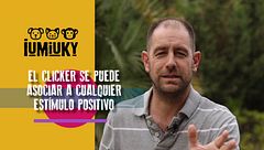 Programa 262