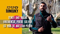 Programa 263