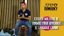Programa 266
