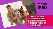 Programa 267