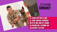 Programa 267