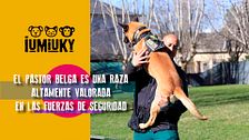 Programa 269