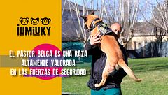 Programa 269
