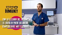 Programa 272