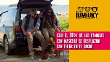 P278 - Los hábitos en conducción