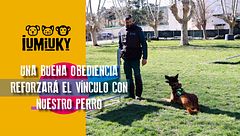P279 - Los ejercicios de obediencia