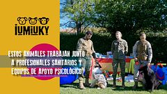 P284 - Terapia asistida con perros del ejército