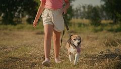 P292 - ¿A qué lado conviene llevar a nuestro perro?