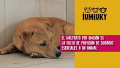 P298 - Maltrato por omisión