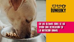 P299 - Alimentación funcional