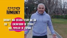 P305 - César Millán, el encantador de perros