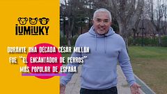 P305 - César Millán, el encantador de perros
