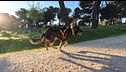 P317 - Deporte y juego
