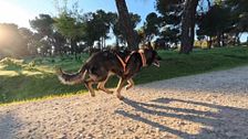 P317 - Deporte y juego