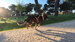 P317 - Deporte y juego