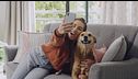 P318 - Perros señal y el lenguaje canino