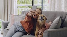 P318 - Perros señal y el lenguaje canino