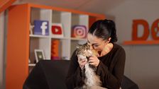 P323 - Como bañar a nuestros gatos y reducir el hiperapego de nuestras mascotas