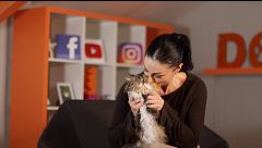 P323 - Como bañar a nuestros gatos y reducir el hiperapego de nuestras mascotas