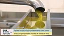 Aceite de oliva, el oro líquido de España