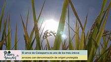 P90 - Arroz de Calasparra, un indispensable de la gastronomía murciana
