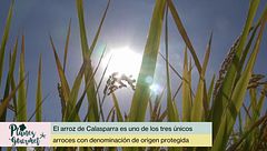 P90 - Arroz de Calasparra, un indispensable de la gastronomía murciana