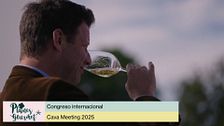 P91 - Cava Meeting 2025