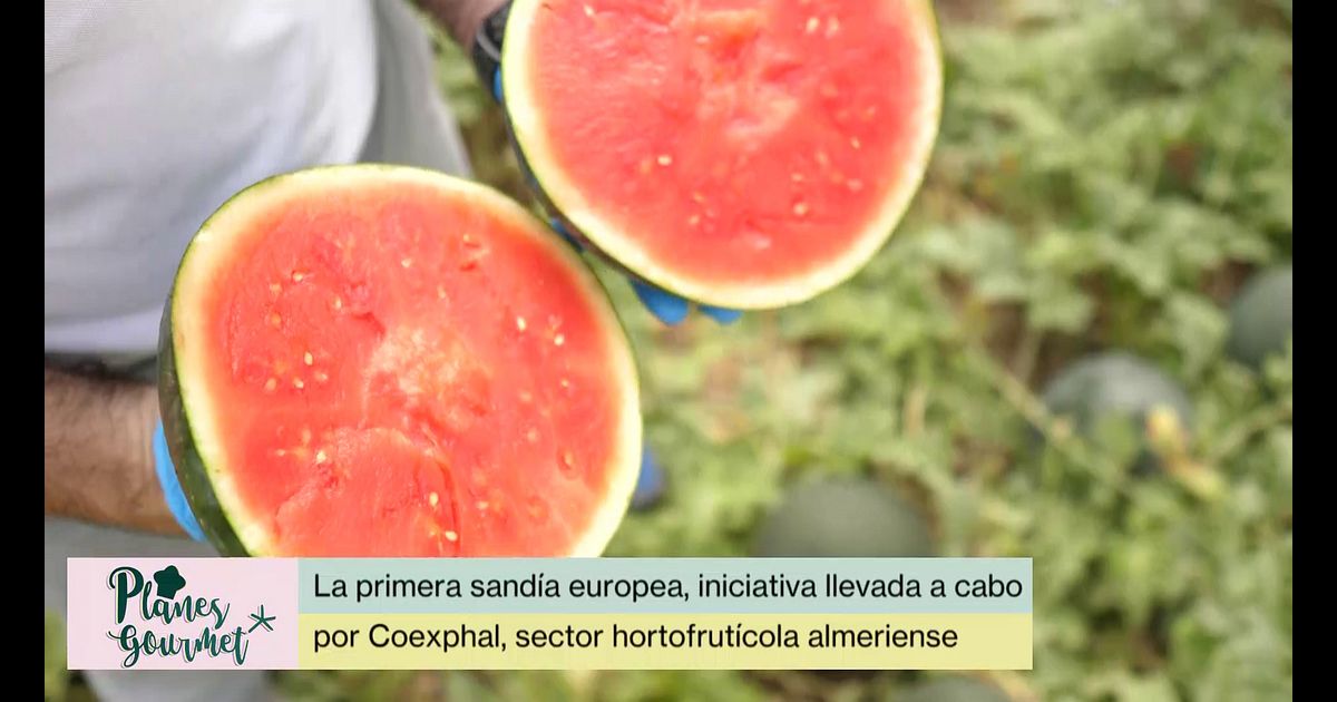 Planes Gourmet: P105 - La primera sandía europea Video | Mediaset Infinity