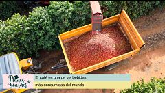P106 - La sandía, el café y rutas gastronómicas