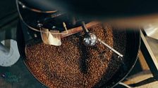 P111 - Los orígenes del café
