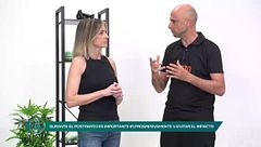 Programa 23