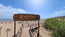 Mediterráneo - Un viaje a Elche