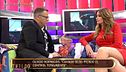 Programa 293