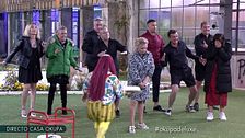 Programa 533