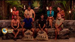 Gala 13