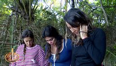 Resumen diario 20/04/2026