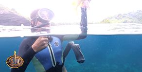 Resumen diario 29/04/2026