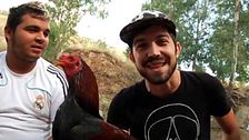 Programa 220