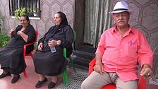Programa 313