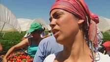 Programa 6