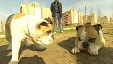 Programa 3
