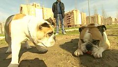 Programa 3