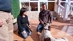 Programa 6