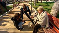 Programa 7