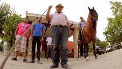 Programa 8