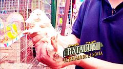 Programa 10